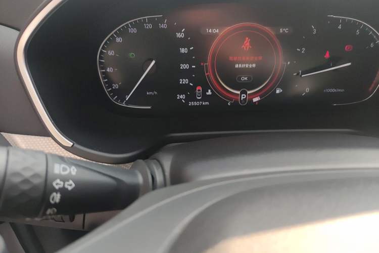 Used EXEED TX 2019 1.6T Four-Wheel Drive Platinum Edition Odometer Close Up