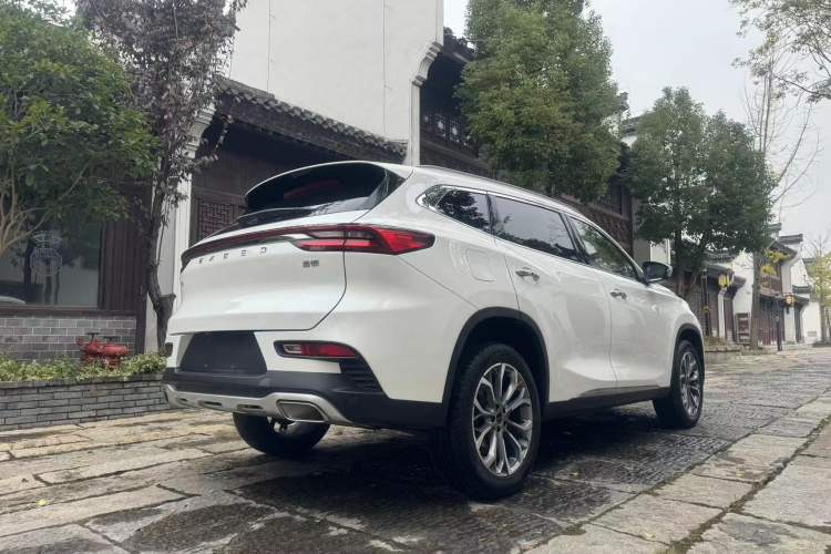 Used EXEED TX 2019 1.6T Four-Wheel Drive Platinum Edition Rear Right 45 Deg
