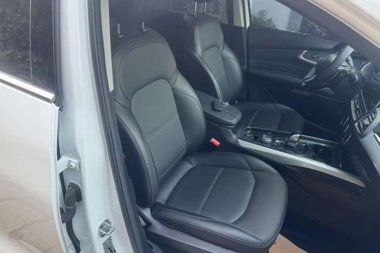 Used EXEED TX 2019 1.6T Four-Wheel Drive Platinum Edition Right Front Seat