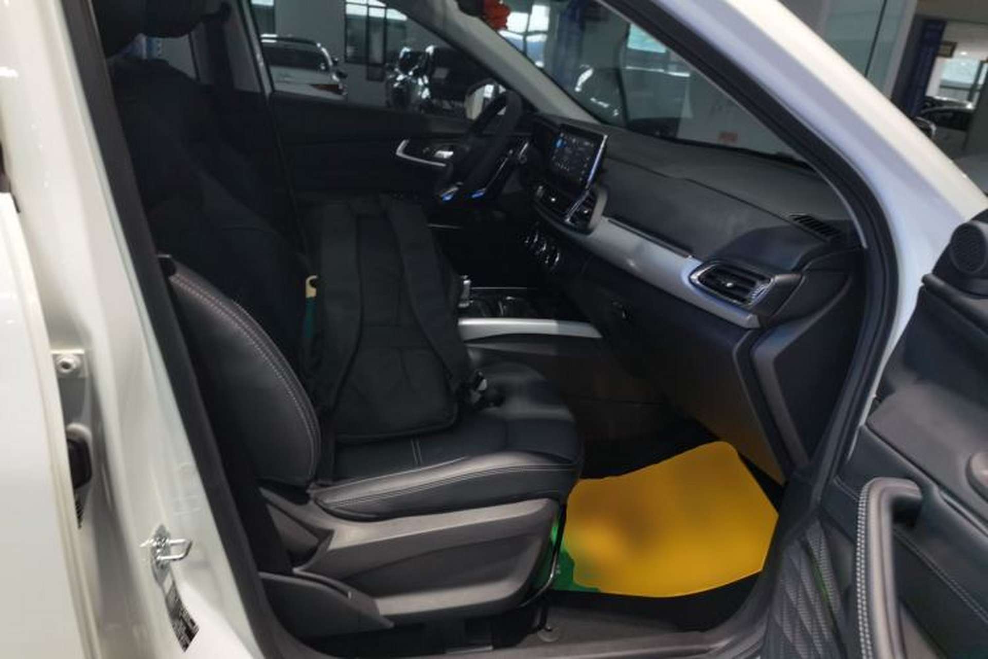 Used EXEED TX 2019 1.6T Four-Wheel Drive Platinum Edition Right Front Seat