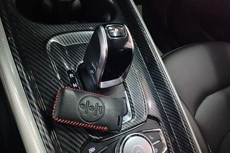Used EXEED TX 2020 1.6T Four-Wheel Drive Star Edition Gear Lever