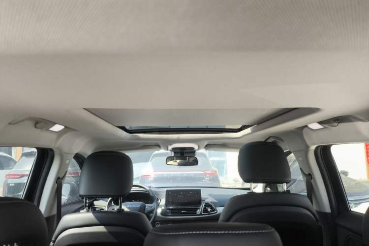 Used EXEED TX 2020 1.6T Two-Wheel Drive Star Edition Headliner