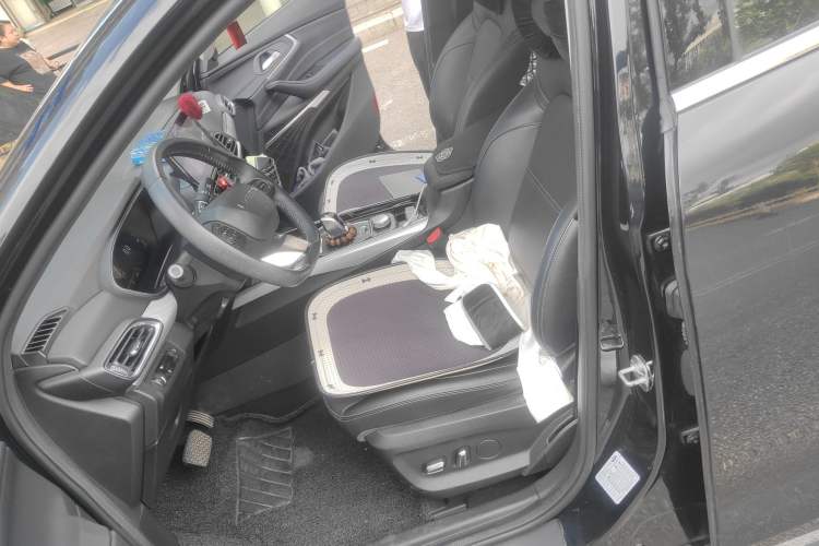 Used EXEED TX 2020 1.6T Two-Wheel Drive Star Edition Left Front Seat