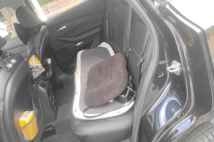 Used EXEED TX 2020 1.6T Two-Wheel Drive Star Edition Left Rear Seat