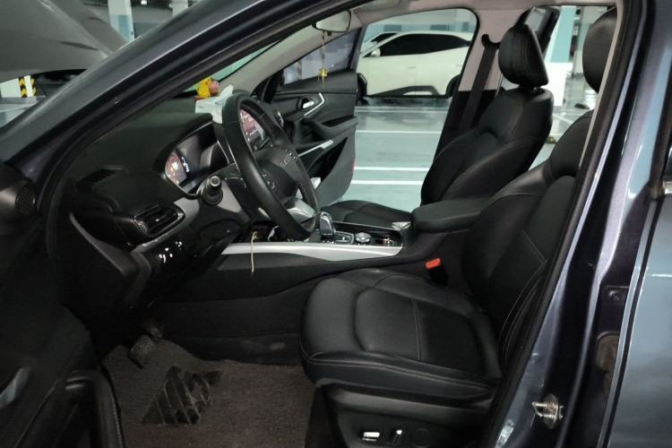 Used EXEED TX 2020 1.6T Two-Wheel Drive Star Edition Left Front Seat