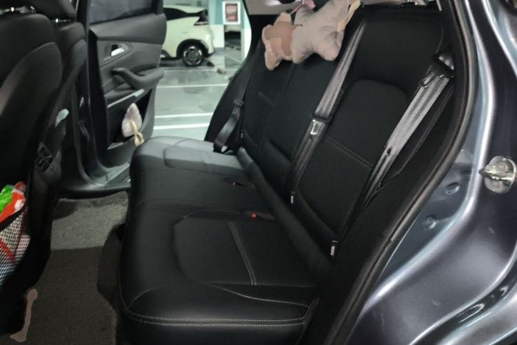 Used EXEED TX 2020 1.6T Two-Wheel Drive Star Edition Left Rear Seat