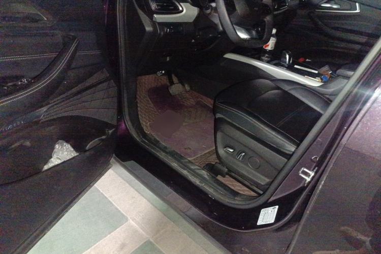 Used EXEED TX 2020 1.6T Two-Wheel Drive Star Edition Driver Seat