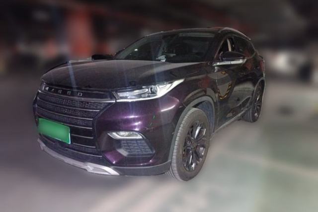 Used EXEED TX 2020 1.6T Two-Wheel Drive Star Edition
