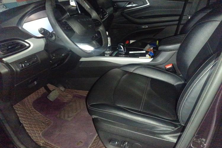 Used EXEED TX 2020 1.6T Two-Wheel Drive Star Edition Left Front Seat