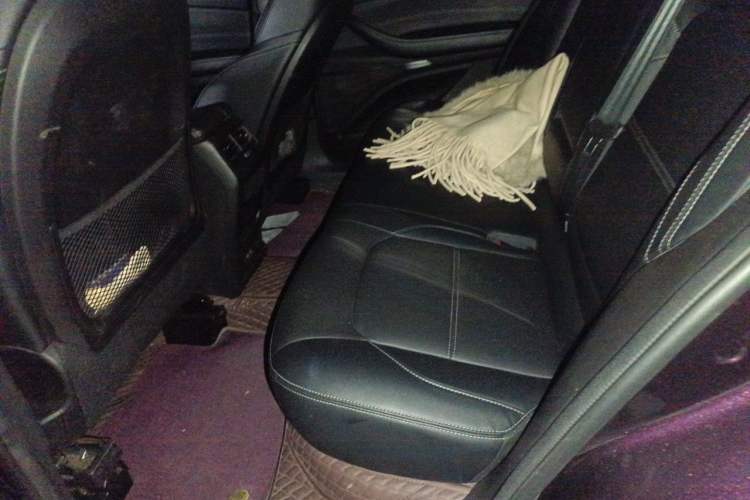 Used EXEED TX 2020 1.6T Two-Wheel Drive Star Edition Left Rear Seat