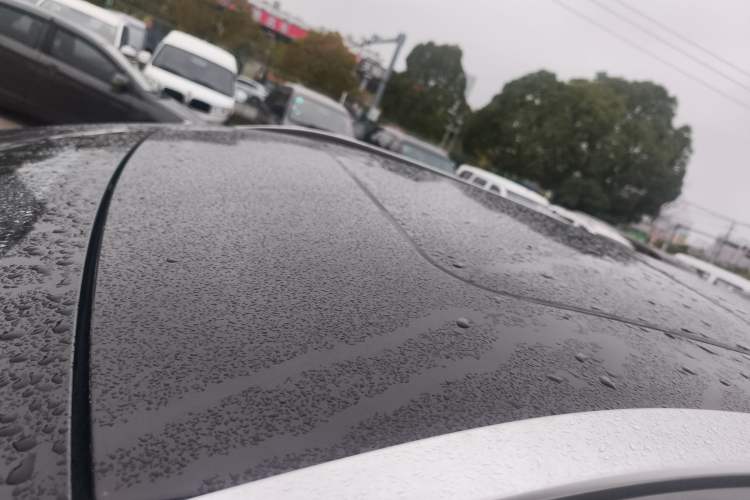 Used EXEED TX 2020 1.6T Four-Wheel Drive Star Edition Roof