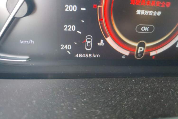 Used EXEED TX 2020 1.6T Four-Wheel Drive Star Edition Odometer Close Up
