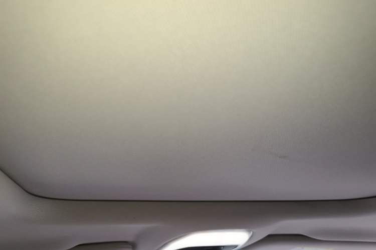 Used EXEED TX 2020 1.6T Four-Wheel Drive Star Edition Headliner