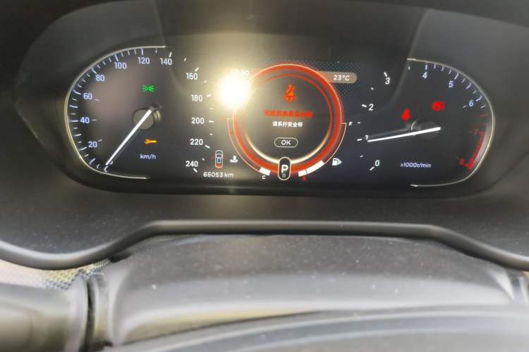 Used EXEED TX 2020 1.6T Four-Wheel Drive Star Edition Odometer Close Up