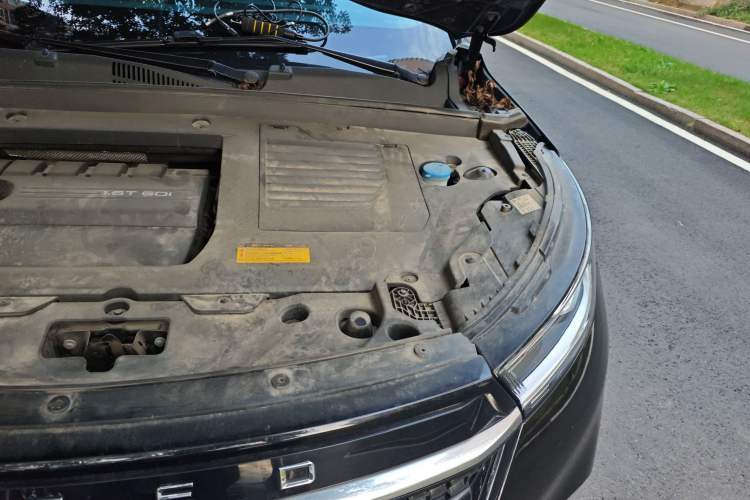 Used EXEED TX 2021 1.6T Two-Wheel Drive Superpower No. 3 Engine Bay Left