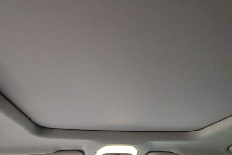 Used EXEED TX 2021 1.6T Two-Wheel Drive Superpower No. 3 Headliner