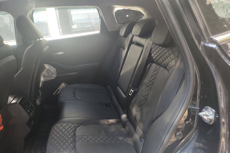 Used EXEED TX 2021 Super All-Wheel Drive Version 1.6T Four-Wheel Drive Super Power No.1 Left Rear Seat