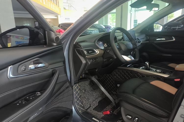 Used EXEED TX 2021 Classic Edition 1.6T Two-Wheel Drive Starry Version Driver Seat