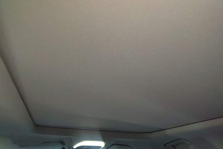 Used EXEED TX 2021 Super All-Wheel Drive Version 1.6T Four-Wheel Drive Super Power No.1 Headliner
