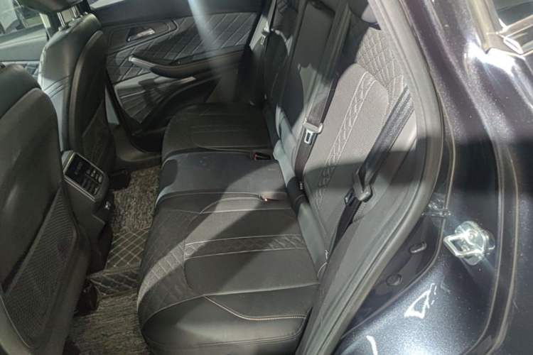 Used EXEED TX 2021 Super All-Wheel Drive Version 1.6T Four-Wheel Drive Super Power No.1 Left Rear Seat