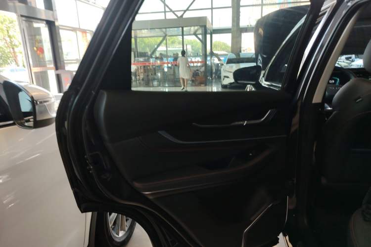 Used EXEED Zhuifeng 2024 1.5T CVT Swift Edition Left Rear Door Interior