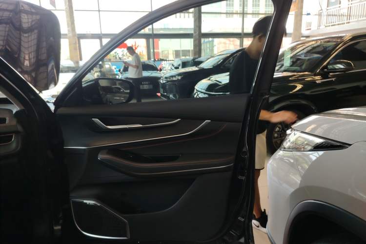 Used EXEED Zhuifeng 2024 1.5T CVT Swift Edition Right Front Door Interior
