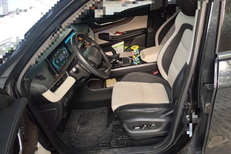Used EXEED Zhuifeng 2019 1.6T DCT Star Prestige Edition Left Front Seat