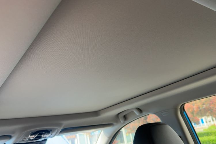 Used EXEED Zhuifeng 2019 1.6T DCT StarRui Edition Headliner
