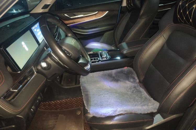 Used EXEED Zhuifeng 2019 1.6T DCT StarRui Edition Left Front Seat