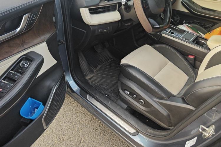 Used EXEED Zhuifeng 2019 1.6T DCT Star Prestige Edition Driver Seat