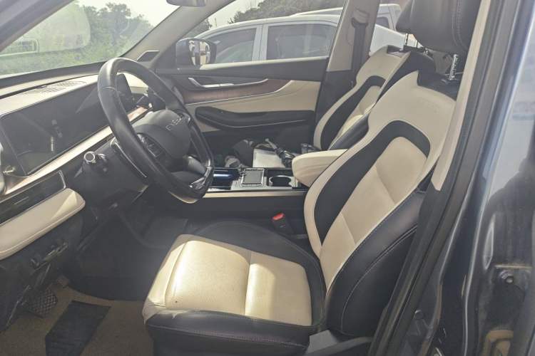 Used EXEED Zhuifeng 2019 1.6T DCT Star Prestige Edition Left Front Seat
