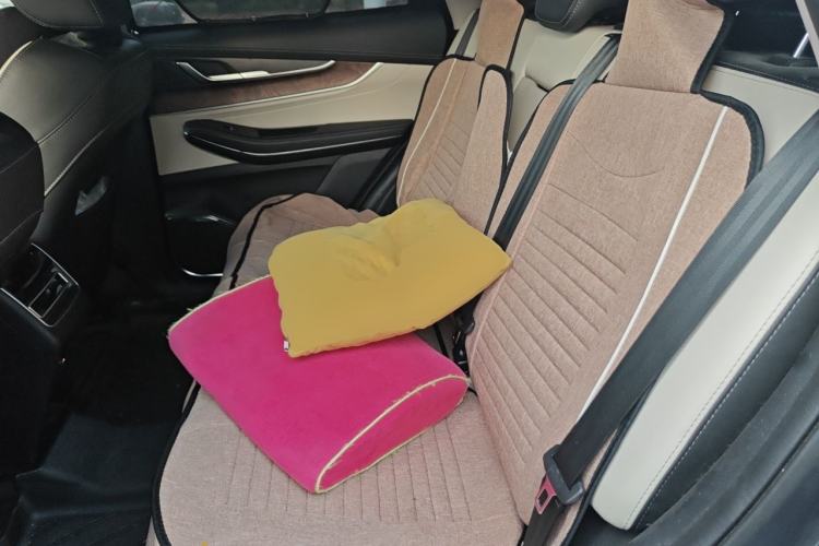 Used EXEED Zhuifeng 2019 1.6T DCT Star Prestige Edition Left Rear Seat