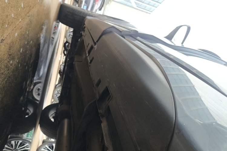 Used EXEED Zhuifeng 2019 1.6T DCT StarRui Edition Left Side Sill