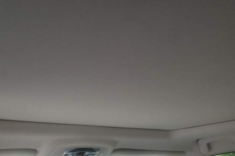 Used EXEED Zhuifeng 2019 1.6T DCT Star Prestige Edition Headliner