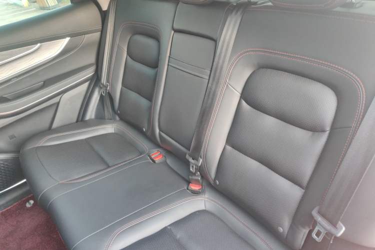 Used EXEED Zhuifeng 2019 1.6T DCT StarRui Edition Left Rear Seat