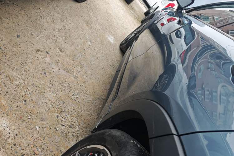 Used EXEED Zhuifeng 2019 1.6T DCT Star Prestige Edition Left Side Sill