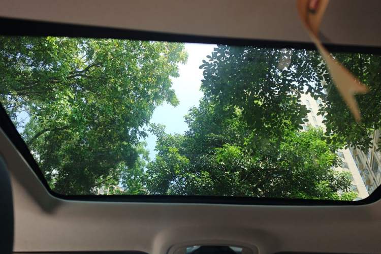 Used EXEED Zhuifeng 2019 1.6T DCT Star Prestige Edition Headliner