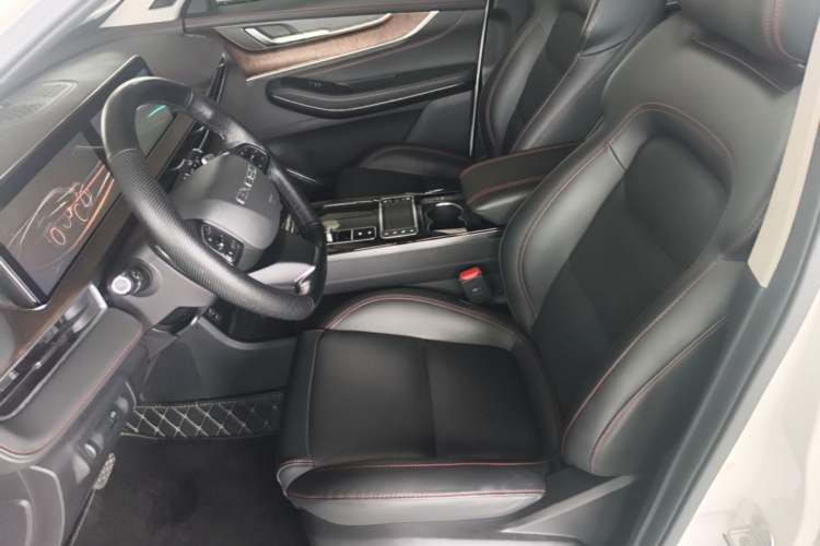Used EXEED Zhuifeng 2019 1.6T DCT StarRui Edition Left Front Seat