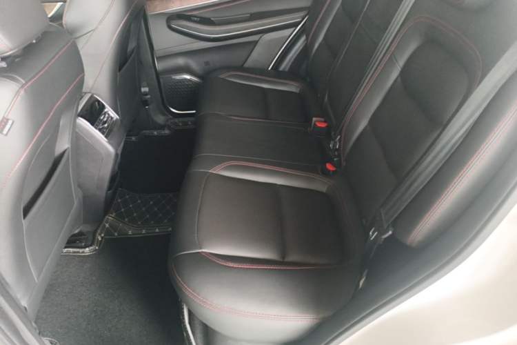 Used EXEED Zhuifeng 2019 1.6T DCT StarRui Edition Left Rear Seat