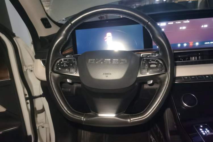 Used EXEED Zhuifeng 2019 1.6T DCT Star Prestige Edition Steering Wheel