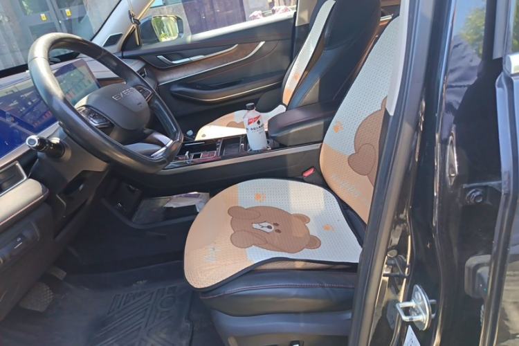 Used EXEED Zhuifeng 2020 Chasing the Waves Edition 1.5T CVT Xingrui Version Interior 2