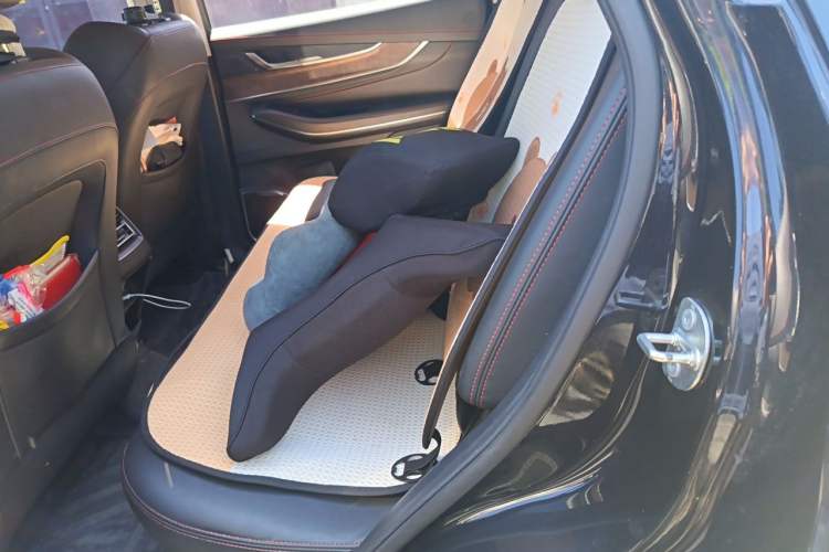 Used EXEED Zhuifeng 2020 Chasing the Waves Edition 1.5T CVT Xingrui Version Left Rear Seat