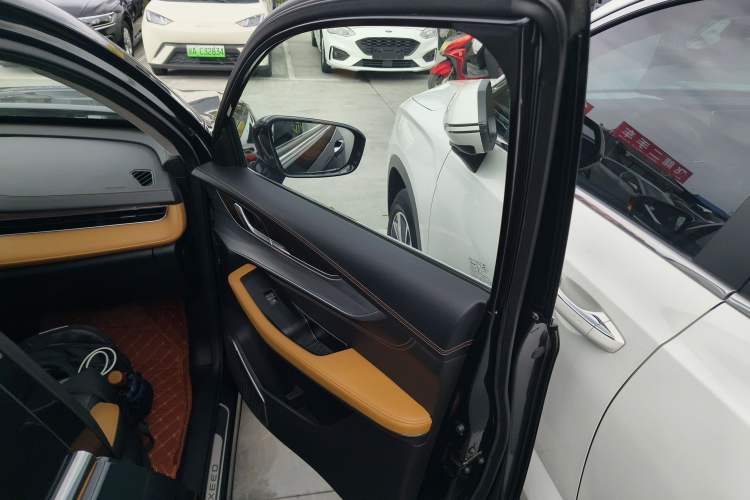 Used EXEED Zhuifeng 2020 Chasing the Waves Edition 1.5T CVT Xingrui Version Right Front Door Interior