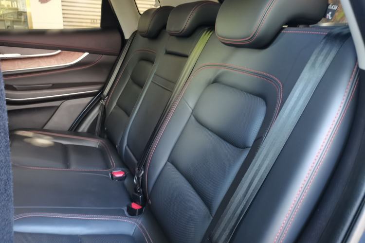 Used EXEED Zhuifeng 2020 Chasing the Waves Edition 1.5T CVT Xingrui Version Left Rear Seat