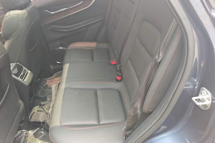 Used EXEED Zhuifeng 2020 Chasing the Waves Edition 1.5T CVT Xingrui Version Left Rear Seat