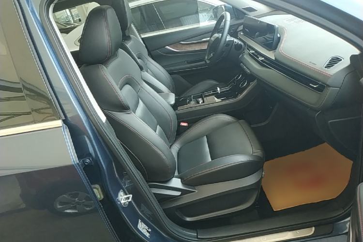 Used EXEED Zhuifeng 2020 Chasing the Waves Edition 1.5T CVT Starry Edition Right Front Seat