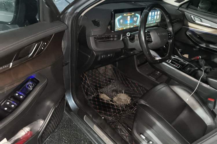 Used EXEED Zhuifeng 2020 Chasing the Waves Edition 1.5T CVT Xingrui Version Interior 3