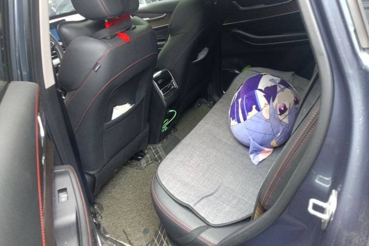 Used EXEED Zhuifeng 2020 Chasing the Waves Edition 1.5T CVT Xingrui Version Left Rear Seat