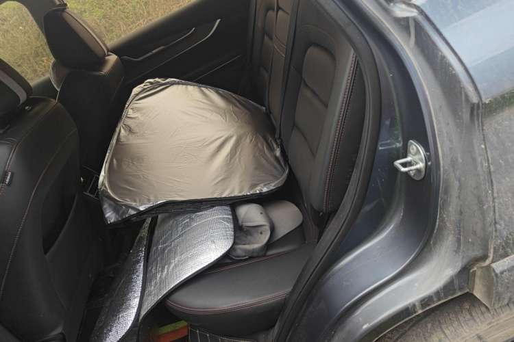 Used EXEED Zhuifeng 2020 Chasing the Waves Edition 1.5T CVT Xingrui Version Left Rear Seat