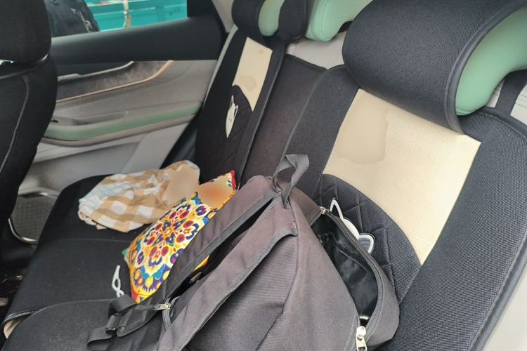 Used EXEED Zhuifeng 2020 1.6T DCT StarRui Edition Left Rear Seat